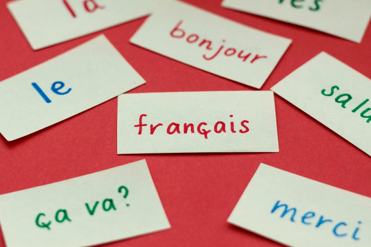 Essential survival French phrases for international students